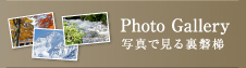 Photo Gallery 写真で見る裏磐梯