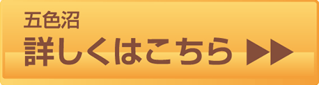 詳しくはこちら