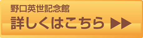 詳しくはこちら