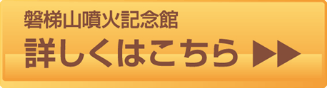 詳しくはこちら