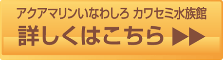 詳しくはこちら