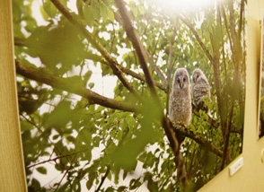 C.W.ニコル講演会