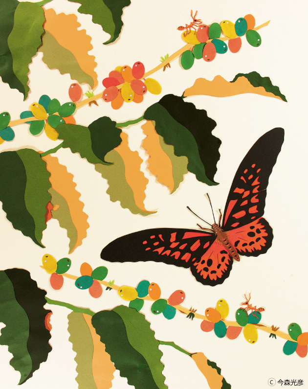 今森光彦の世界・切紙展「森のいきもの」