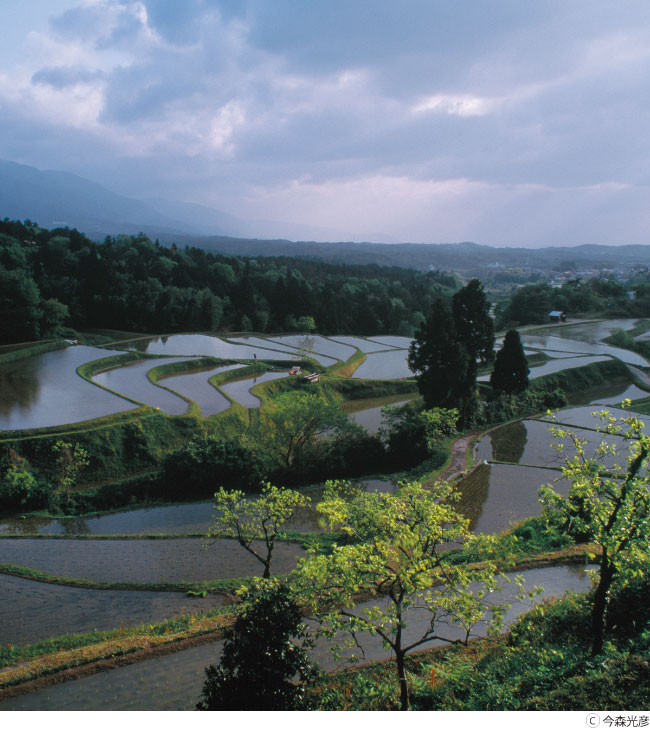 今森光彦写真展