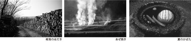 今森光彦写真展