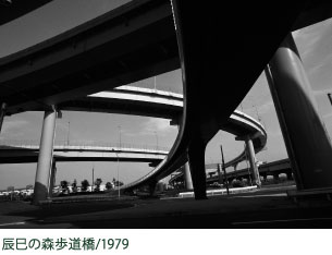 BRIDGE -大野美代子展-