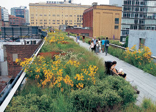 ピート・アウドルフのナチュラリスティックガーデン -いのちがめぐる庭-