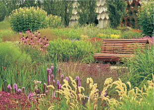 ピート・アウドルフのナチュラリスティックガーデン -いのちがめぐる庭-