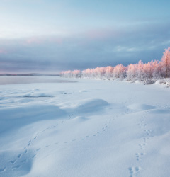 展示会・講演会