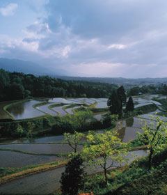 展示会・講演会