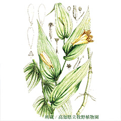 展示会・講演会