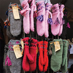 展示会・講演会