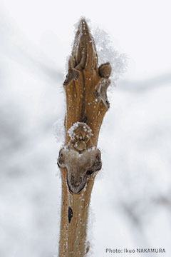 展示会・講演会