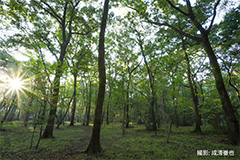 展示会・講演会