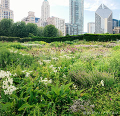 展示会・講演会