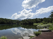 展示会・講演会