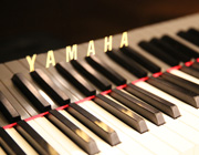 指揮者井上道義氏監修 ライブラリーコンサート