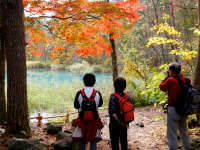 五色沼自然探勝路