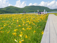 雄国せせらぎ探勝路