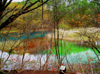 みどろ（深泥）沼