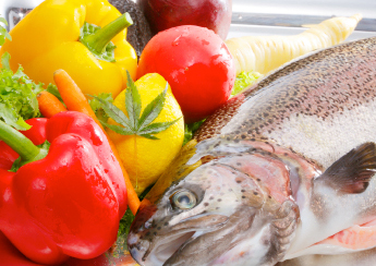 メイプルサーモン／（株）林養魚場