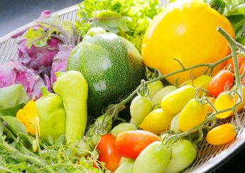 農作物／（有）サラダピクニック