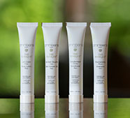 客室設備・アメニティ