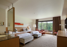 ラグジュアリーツイン