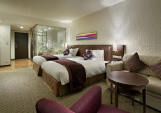 スタイリッシュツイン