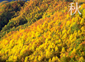 紅葉・秋の裏磐梯