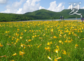 夏の裏磐梯