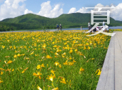 夏の裏磐梯