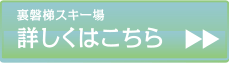 詳しくはこちら