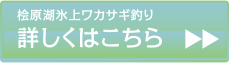 詳しくはこちら